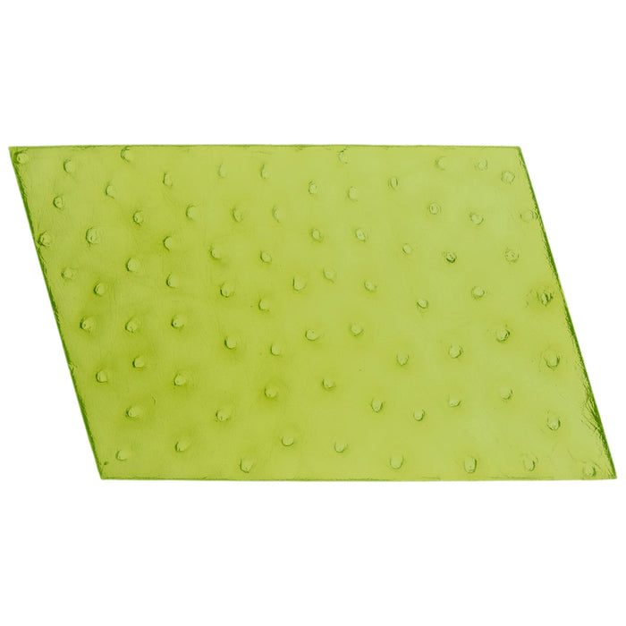 Ostrich Impression Mat for Texture Impressions to Emboss Pottery or Clay by Marvelous Molds