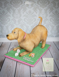 Sculpted Dog Cake Edible Art Created With Marvelous Molds Long Fur Impression Mat Silicone Mold