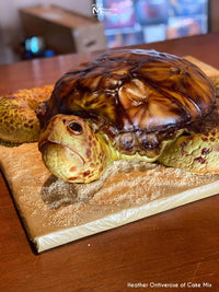 Turtle Cake Made using Marvelous Molds Alligator Textured Impression Mat
